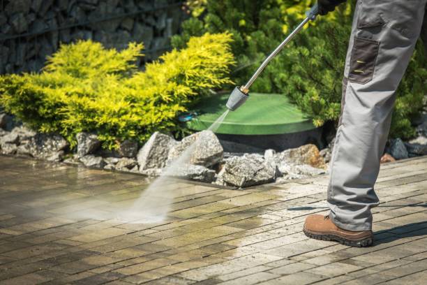 Animal Enclosure Cleaning in Lantana, TX